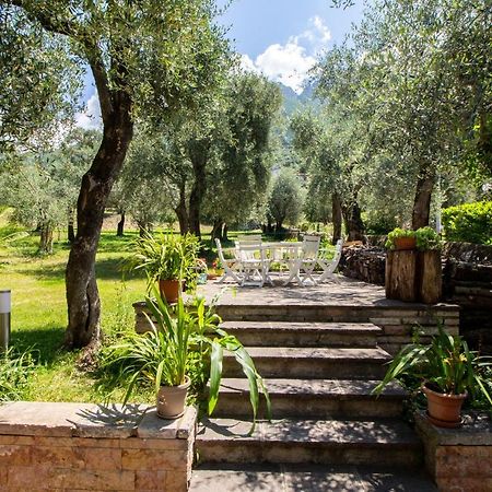 Villa Diana - Terrazza Sul Lago Асенца ди Бренцоне Екстериор снимка